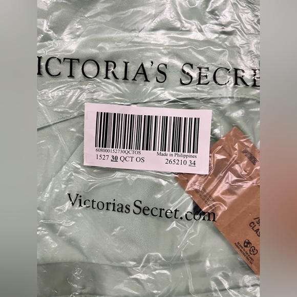 New NWT VS PINK Victoria Secret mint green classic backpack bag main image 5